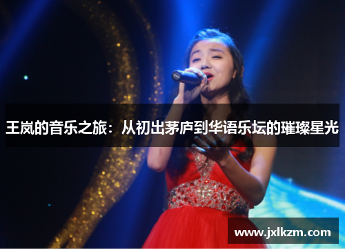 王岚的音乐之旅：从初出茅庐到华语乐坛的璀璨星光